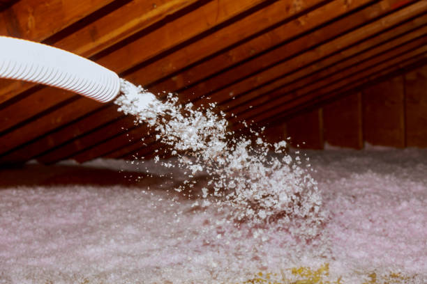Best Geographic-Specific Insulation Services in , SC