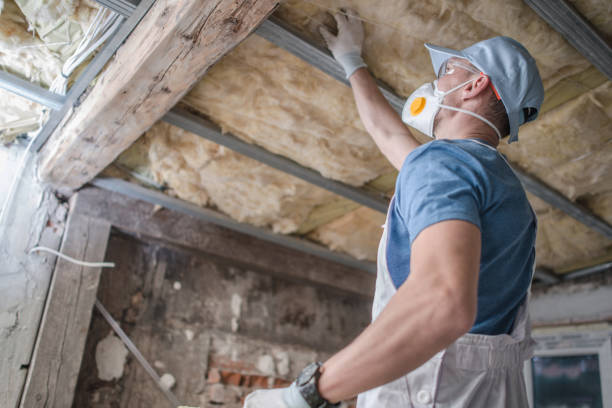 Best Eco-Friendly Insulation in , SC