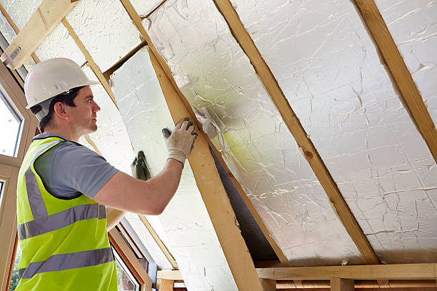 Best Insulation Maintenance and Repair in , SC